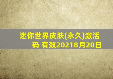 迷你世界皮肤(永久)激活码 有效20218月20日